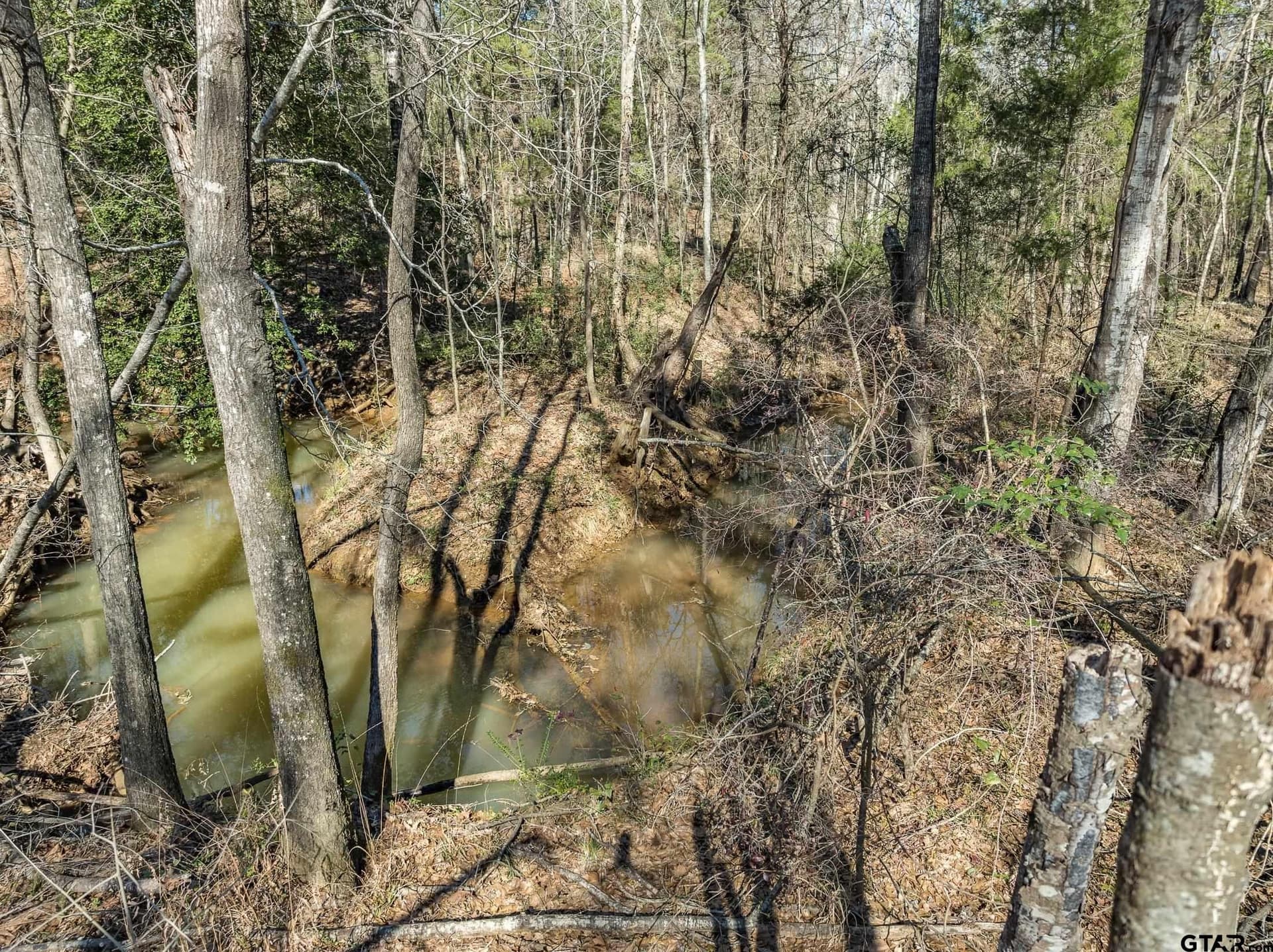 50 acres in Anderson County - photo 8