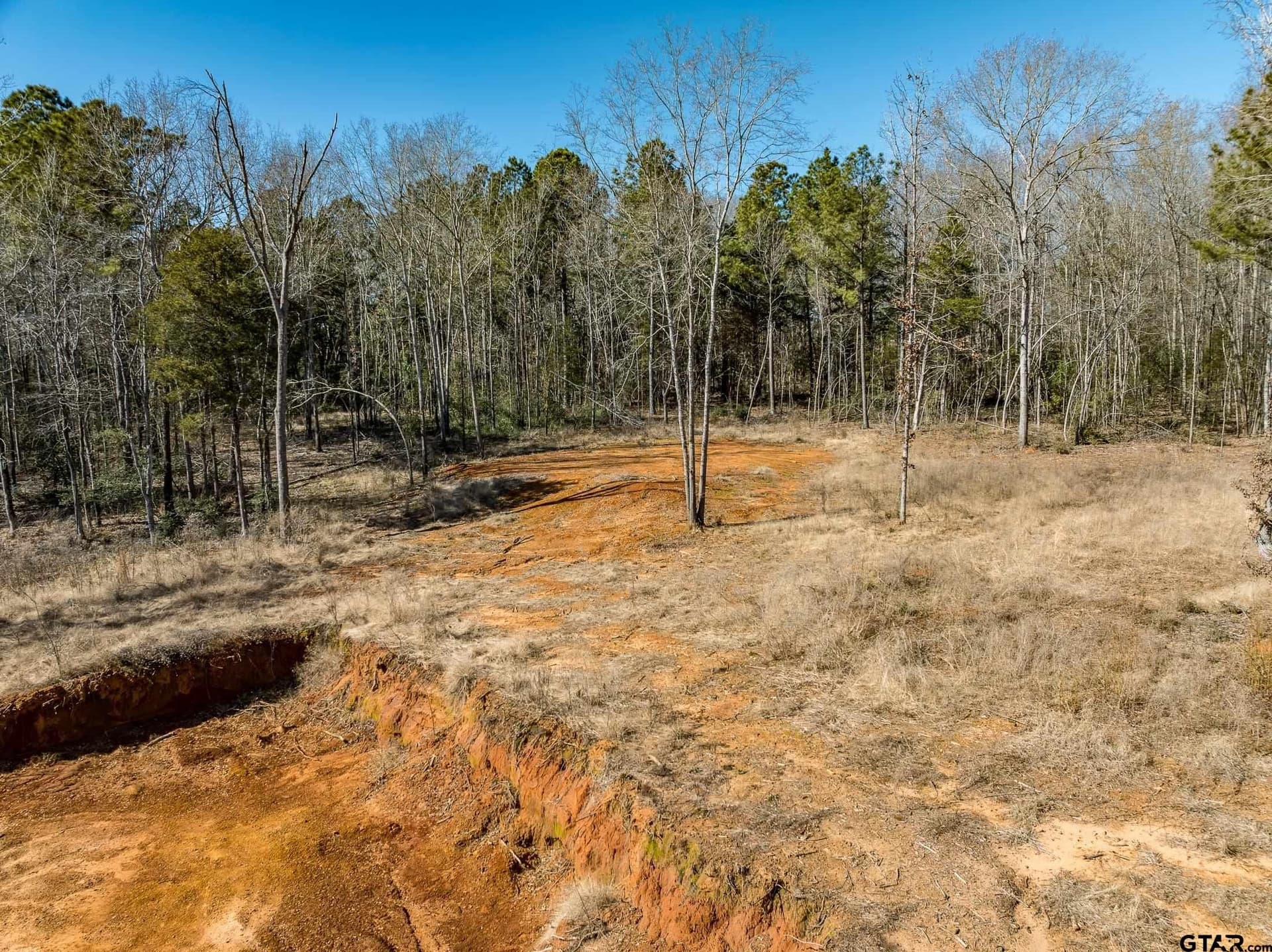 50 acres in Anderson County - photo 23
