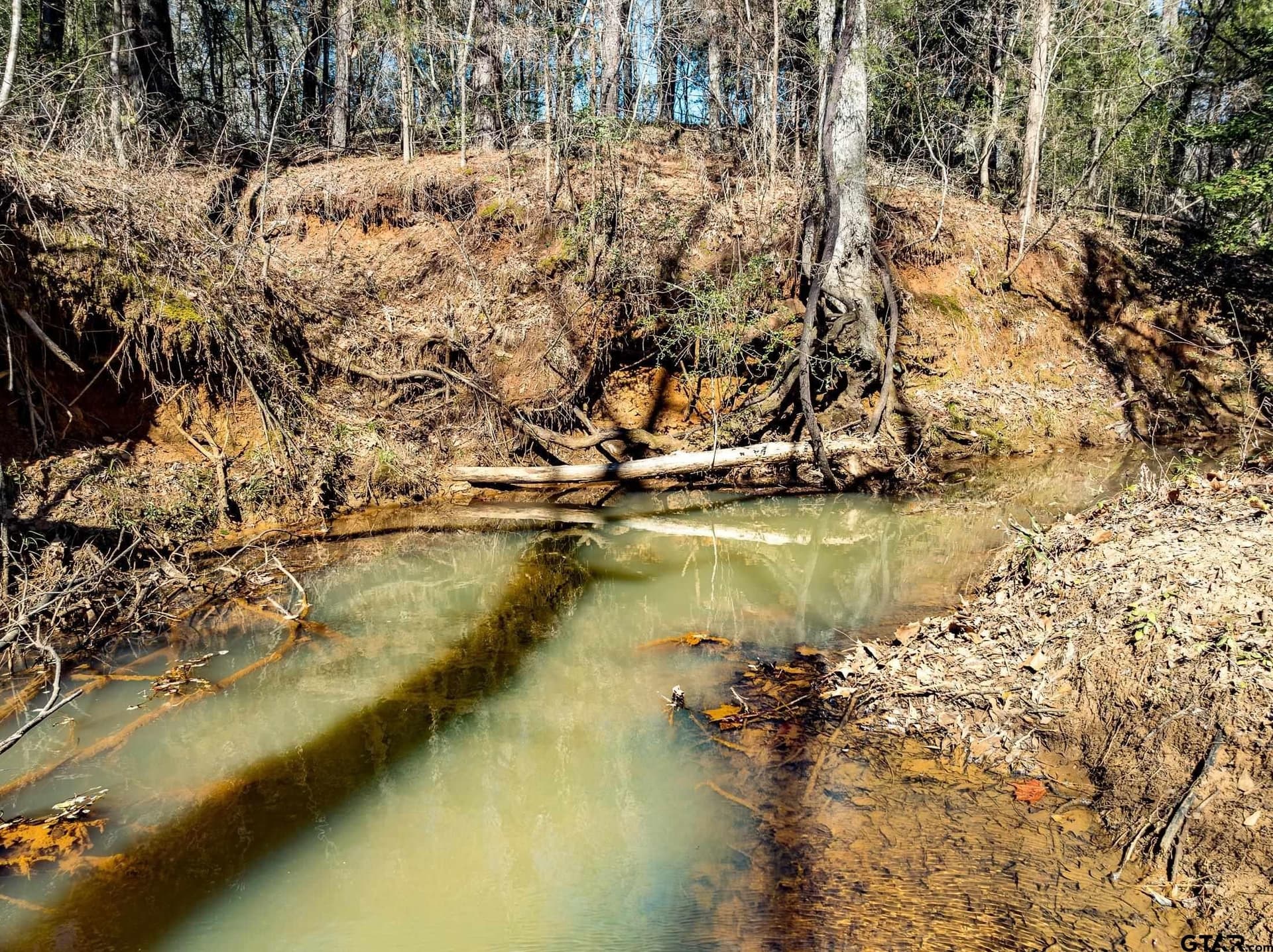50 acres in Anderson County - photo 13