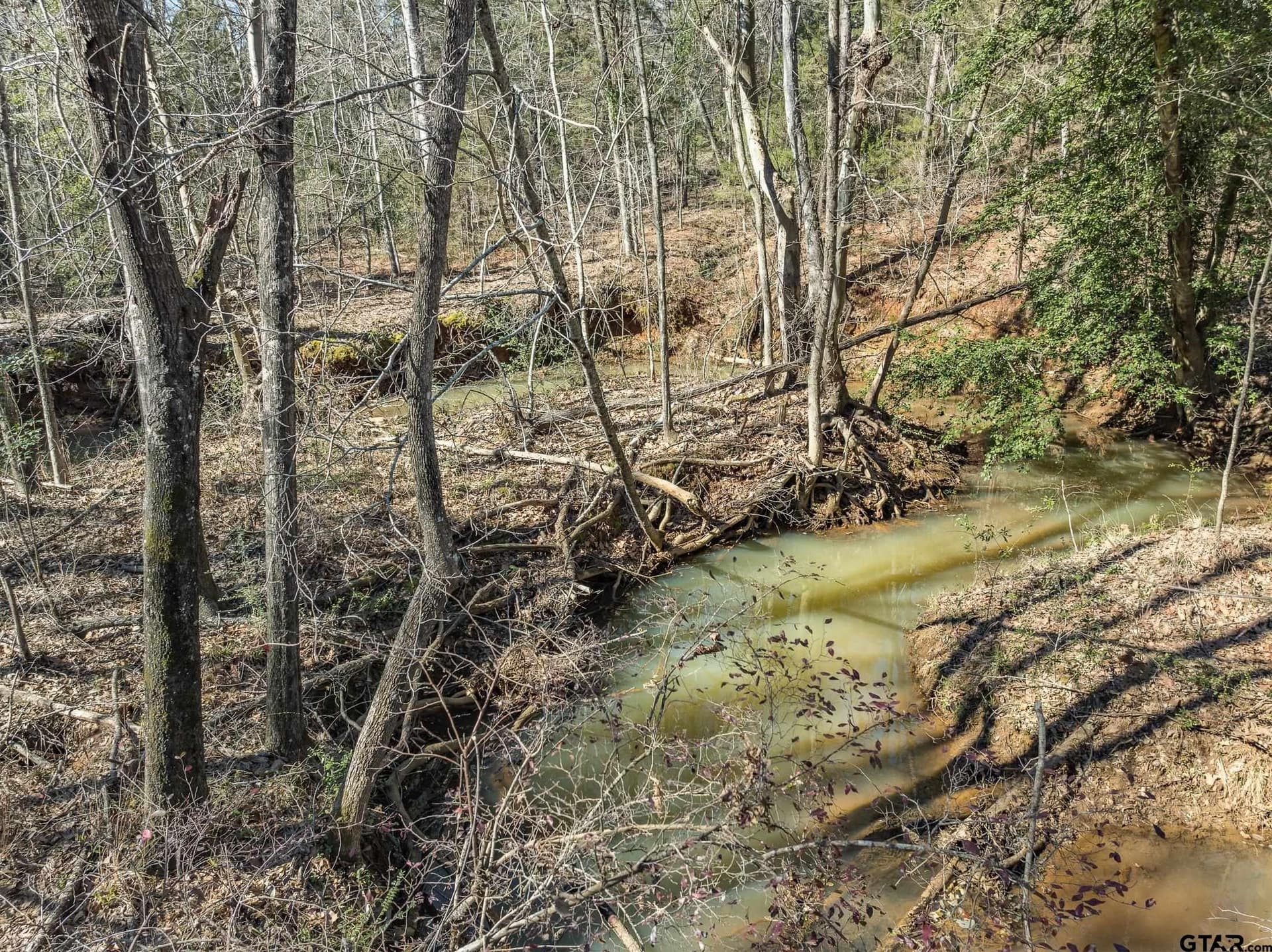 50 acres in Anderson County - photo 7