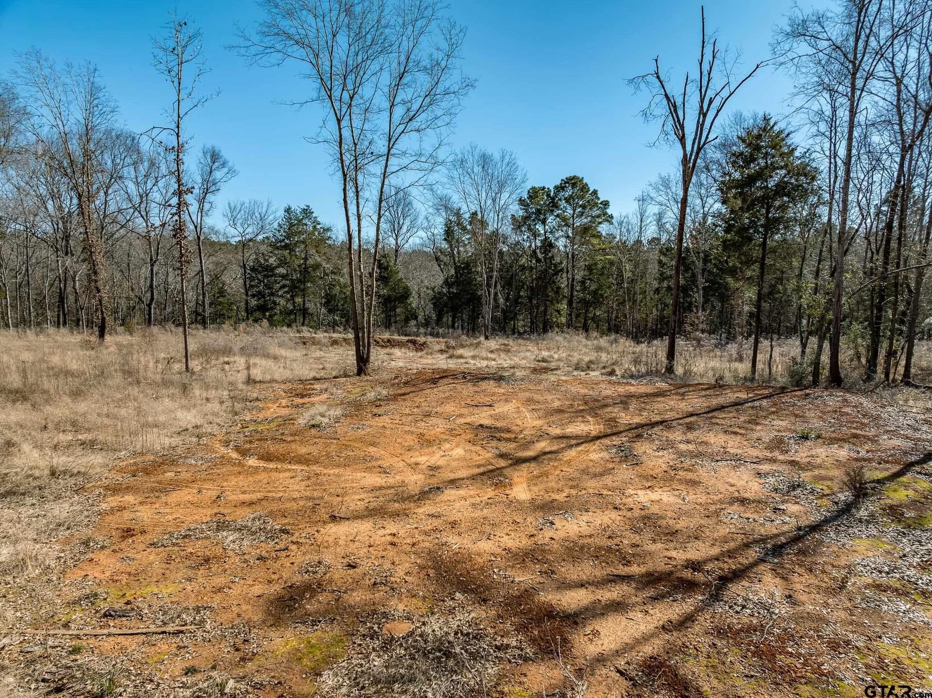 50 acres in Anderson County - photo 20