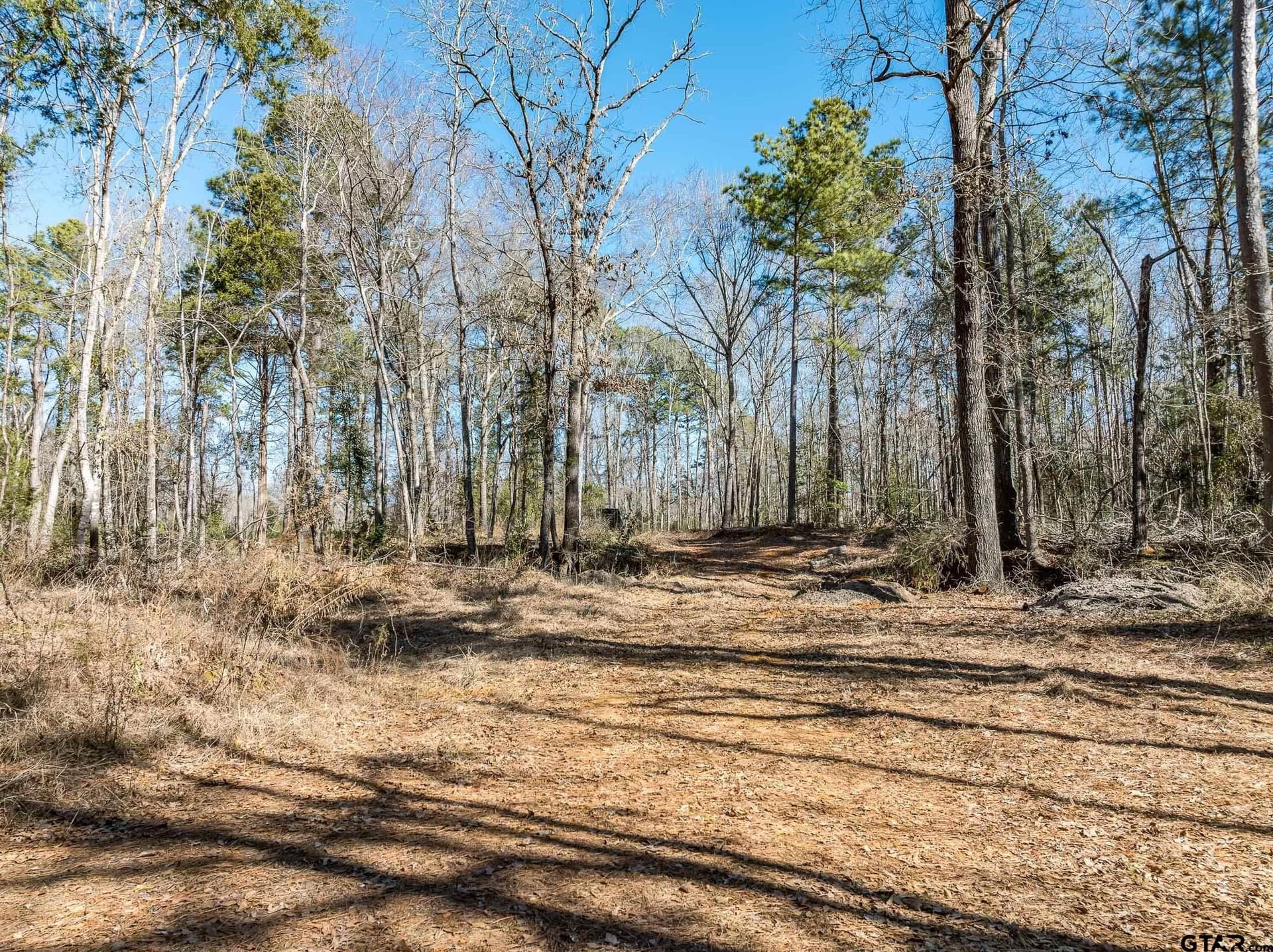 50 acres in Anderson County - photo 16