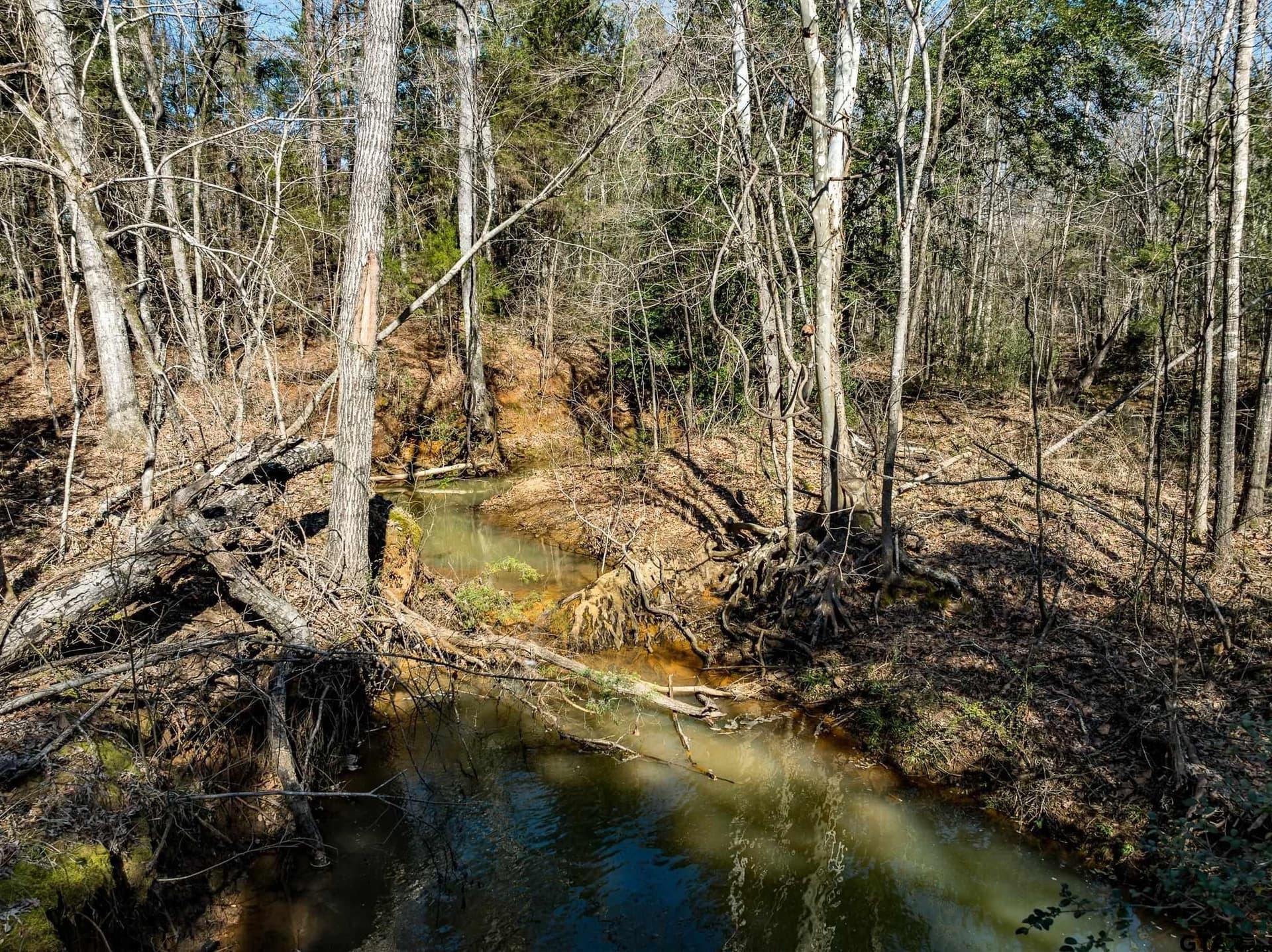 50 acres in Anderson County - photo 11