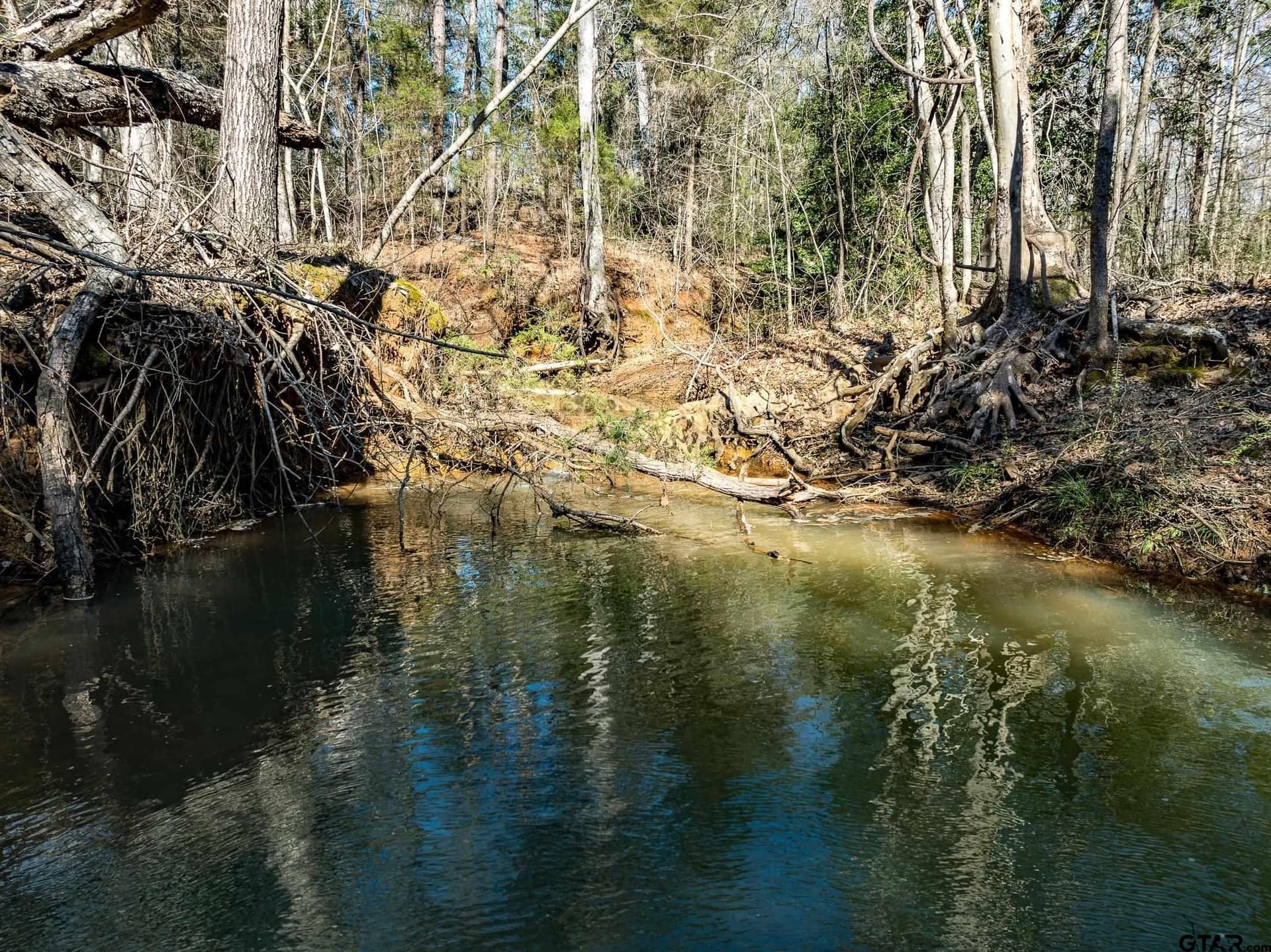 50 acres in Anderson County - photo 12