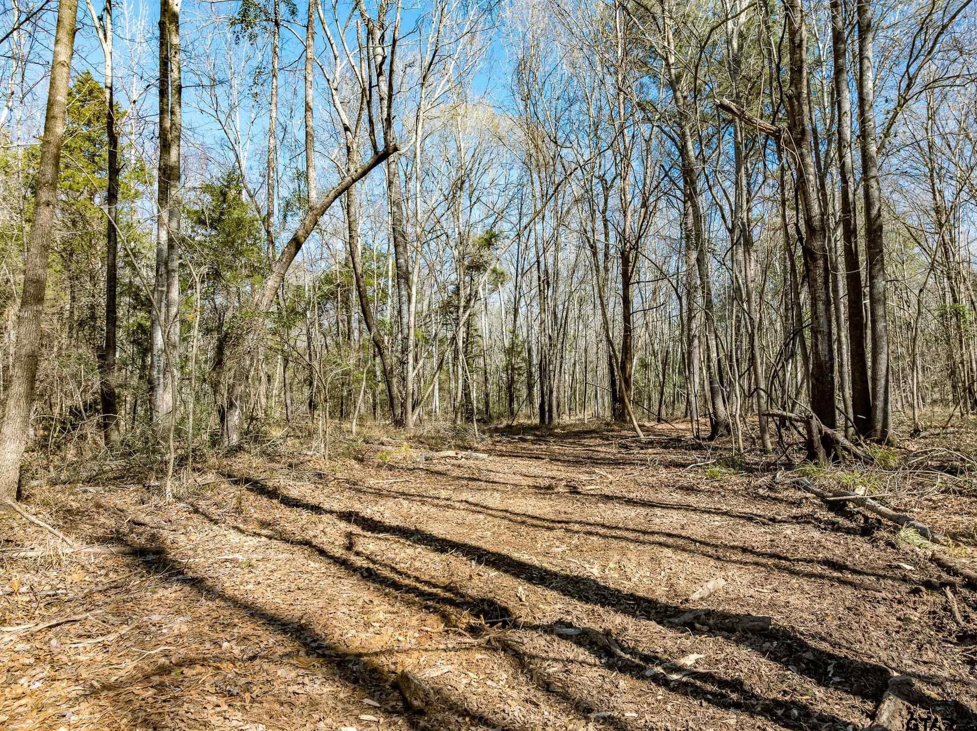 50 acres in Anderson County - photo 9