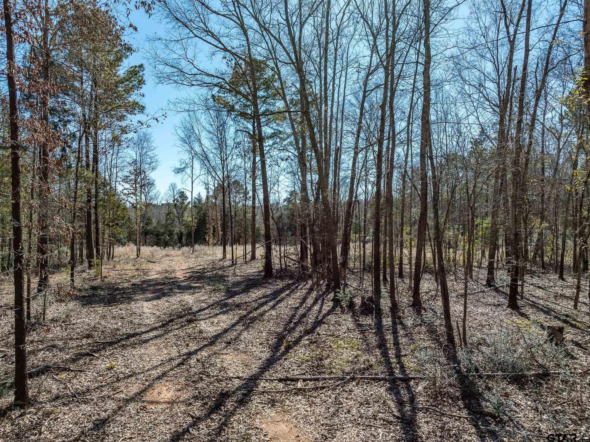 50 acres in Anderson County - photo 18