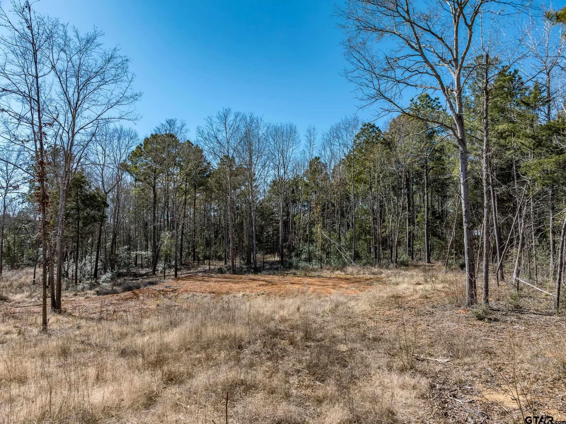 50 acres in Anderson County - photo 19