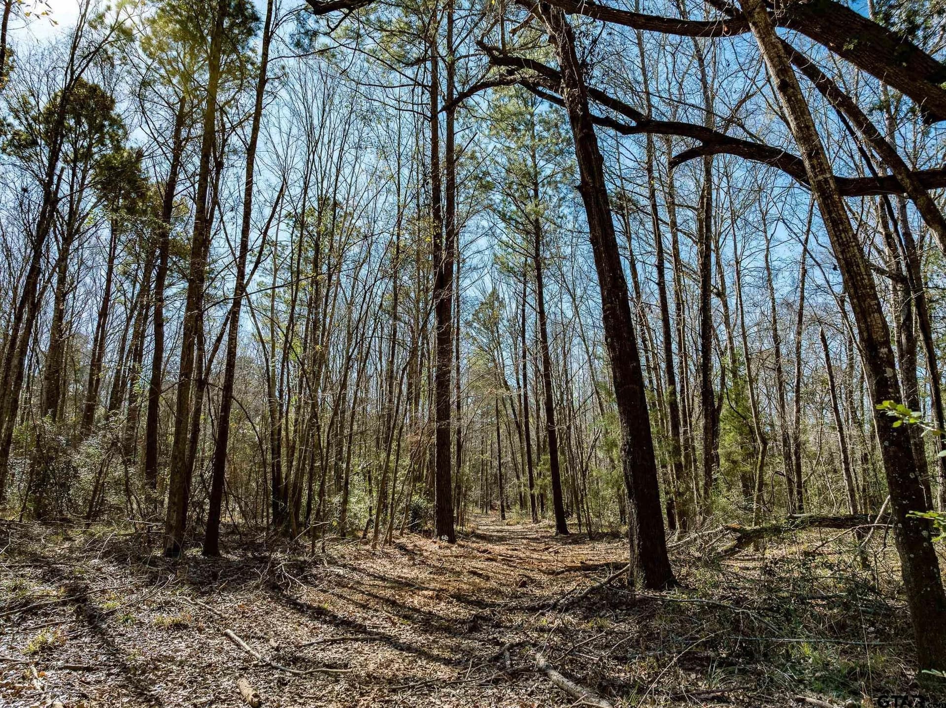 50 acres in Anderson County - photo 10