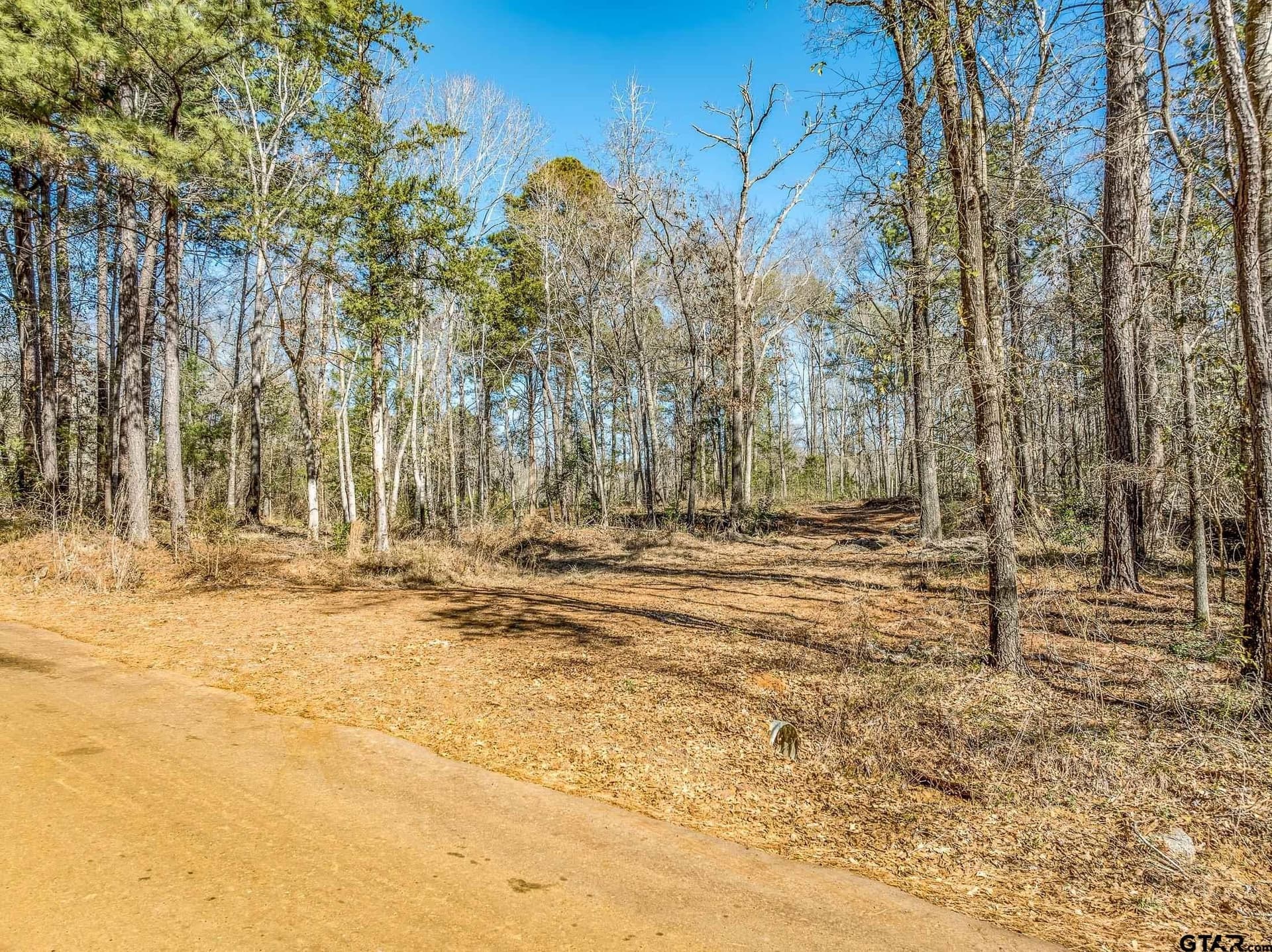 50 acres in Anderson County - photo 15