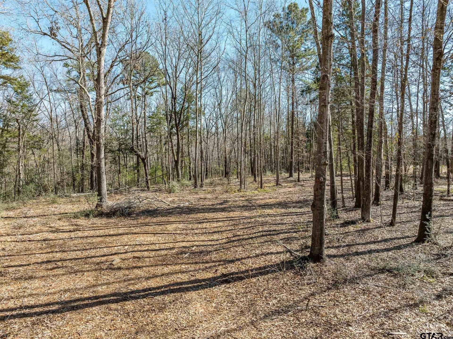 50 acres in Anderson County - photo 17
