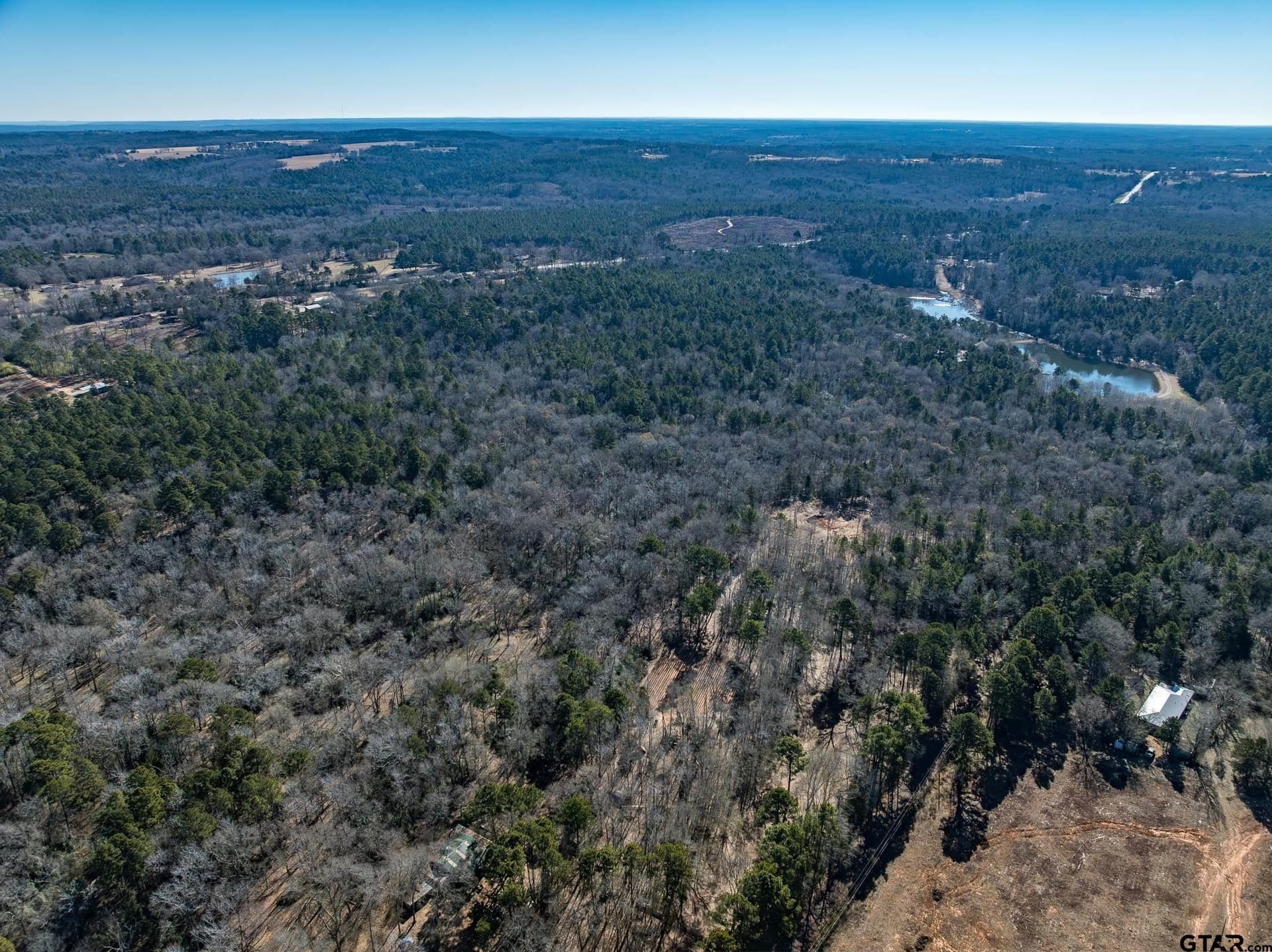 50 acres in Anderson County - photo 6