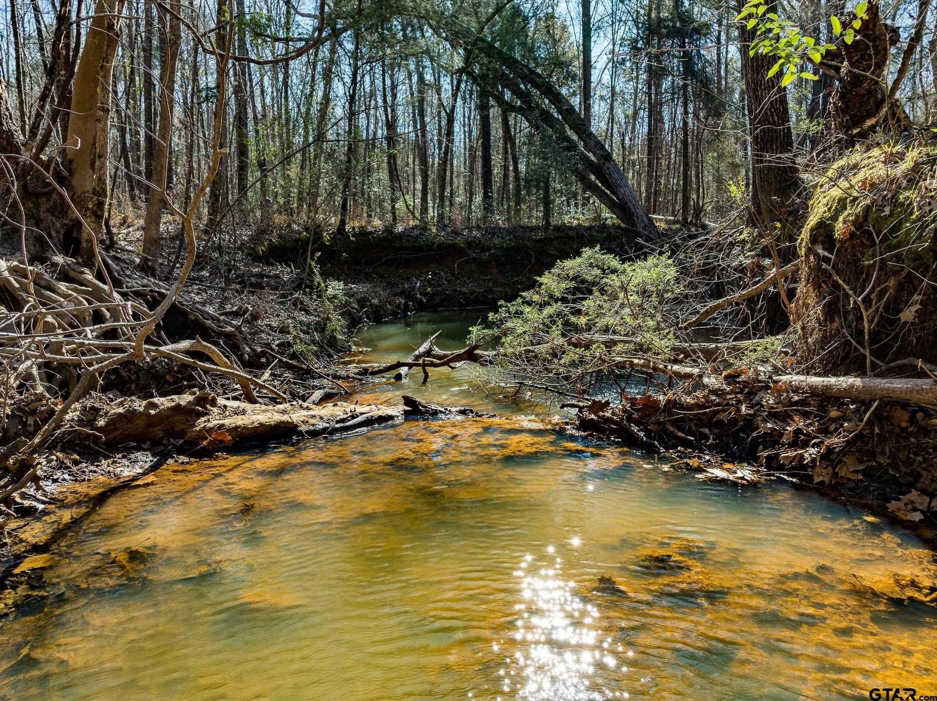 50 acres in Anderson County - photo 14