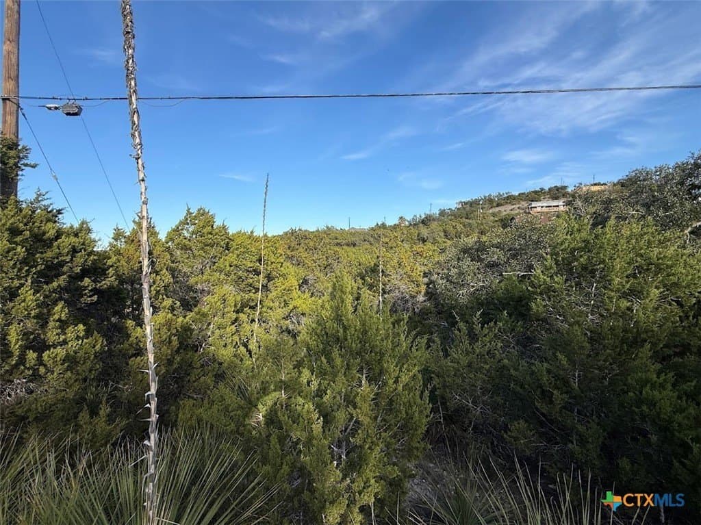 0.17 acres in Comal County - photo 5