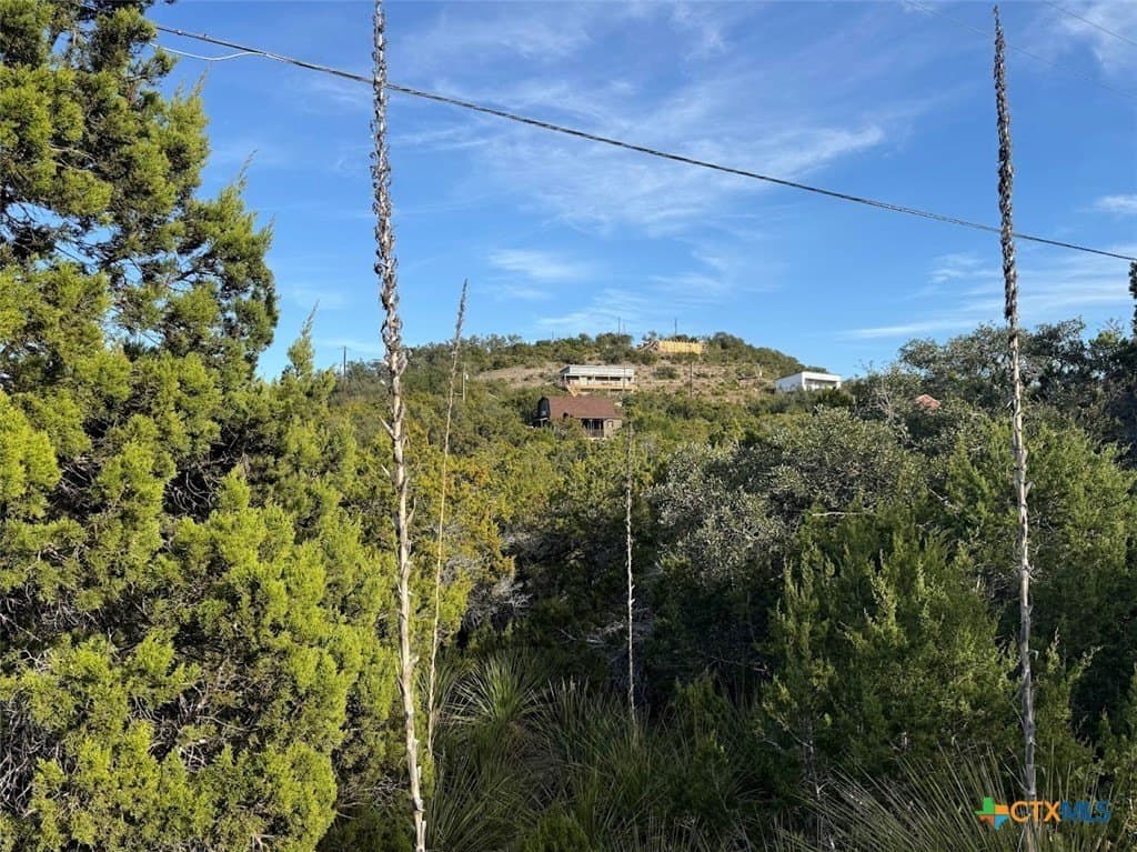 0.17 acres in Comal County - photo 2
