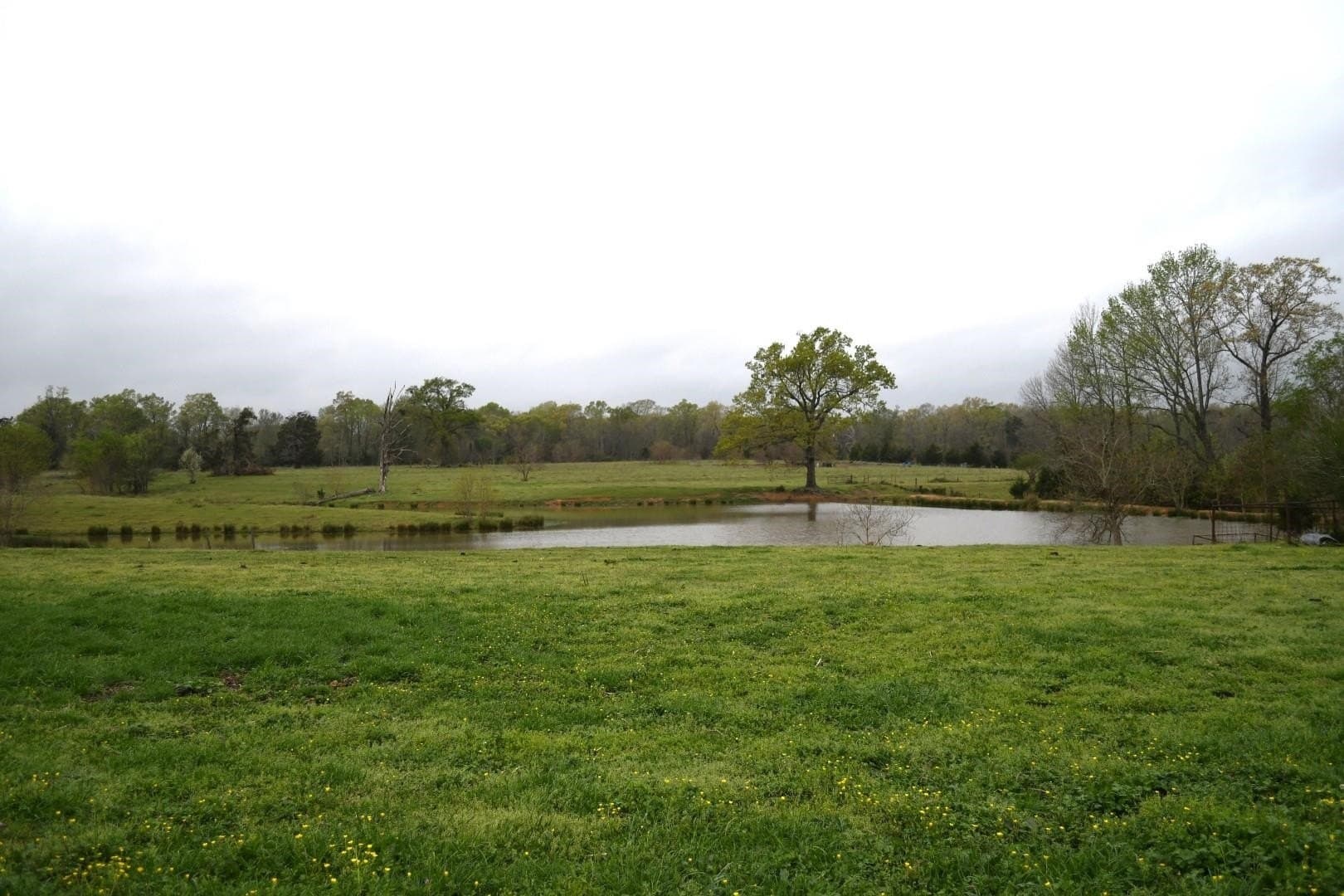 17.81 acres in Panola County - photo 10