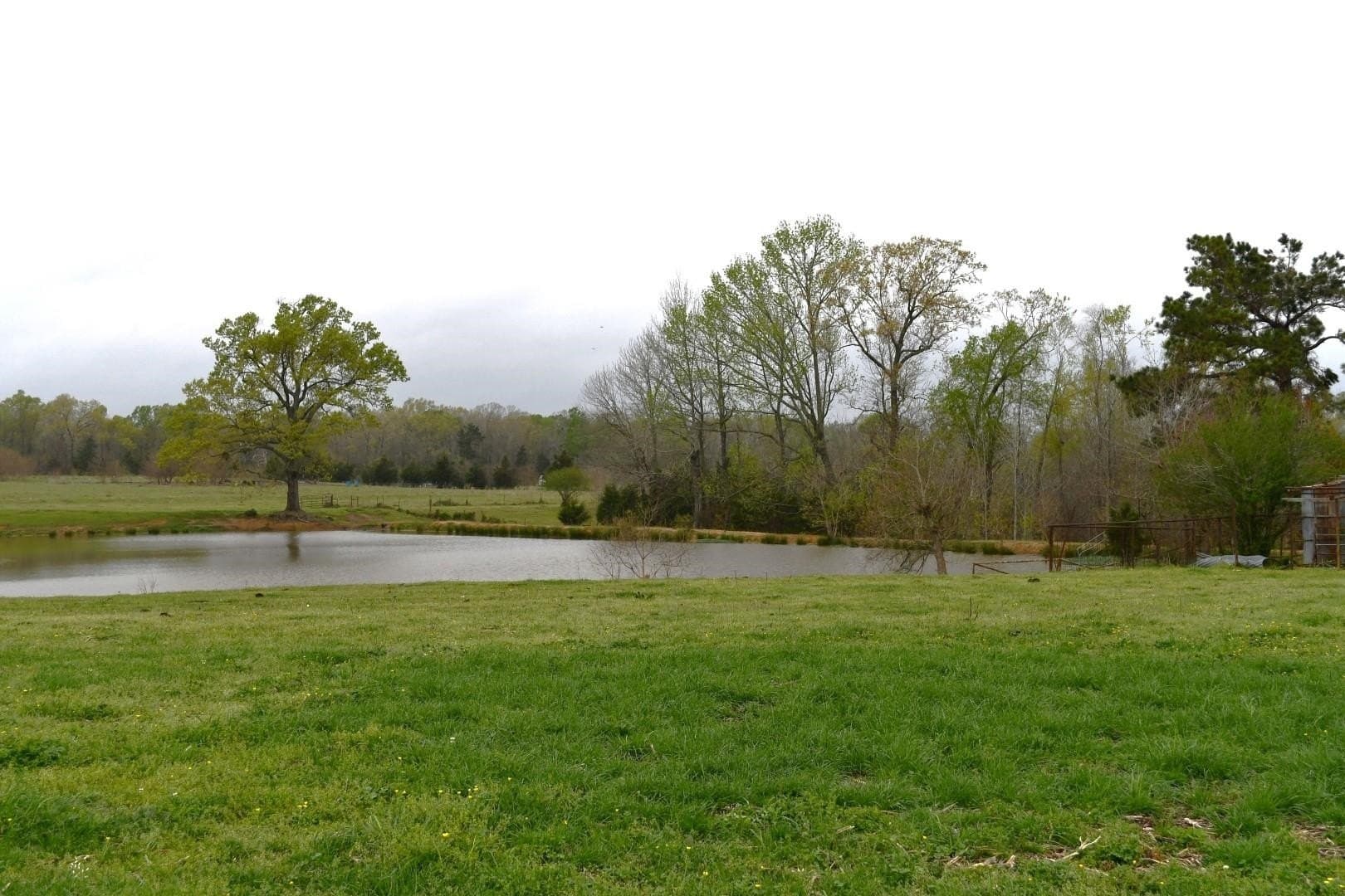 17.81 acres in Panola County - photo 8