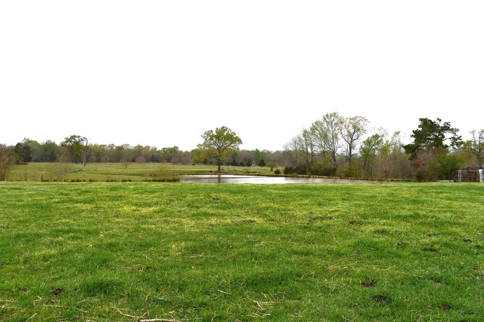 17.81 acres in Panola County - photo 6
