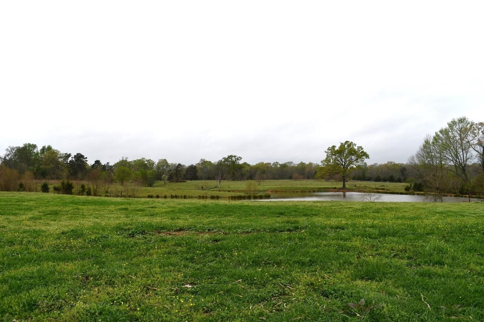 17.81 acres in Panola County - photo 9
