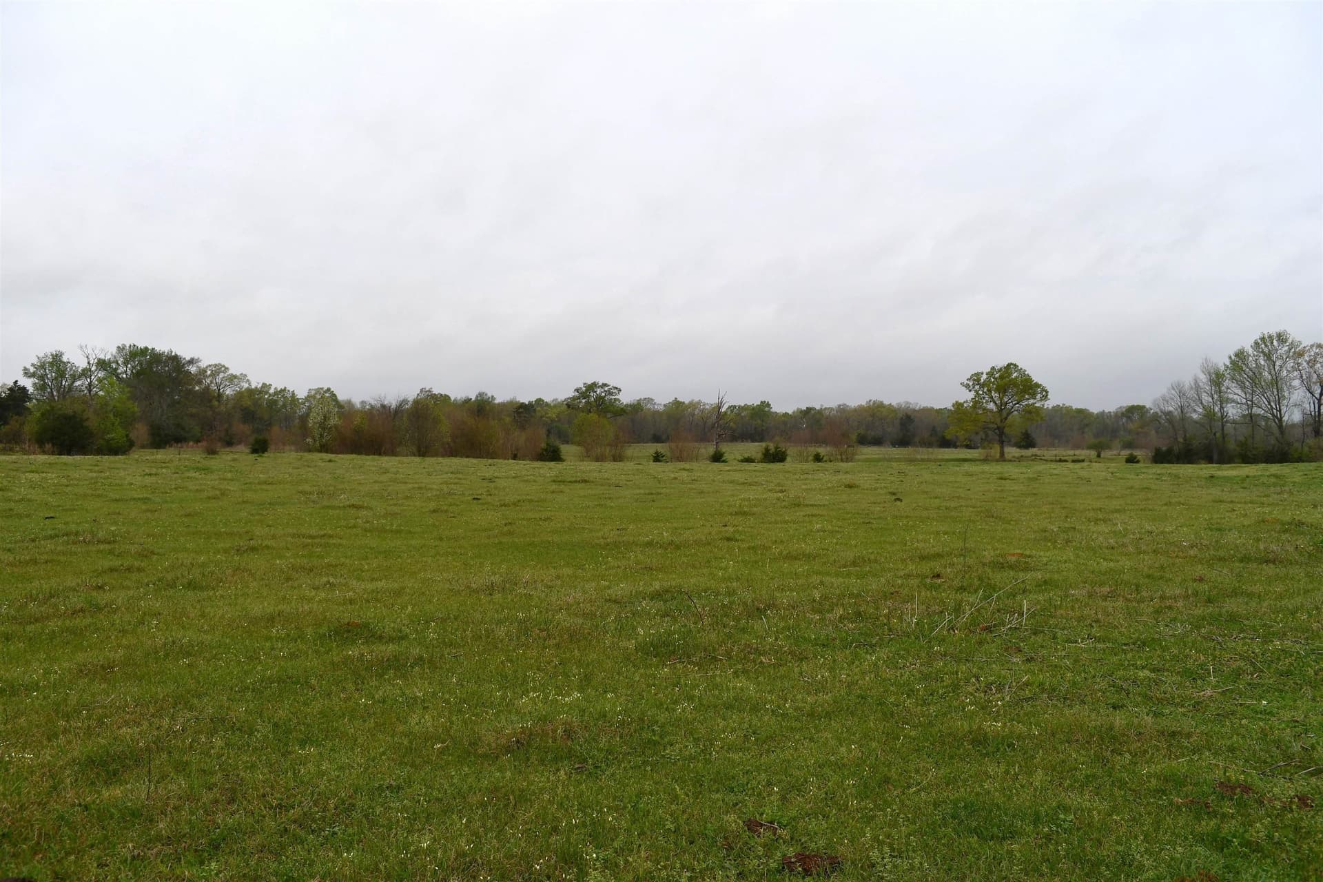 17.81 acres in Panola County - photo 14