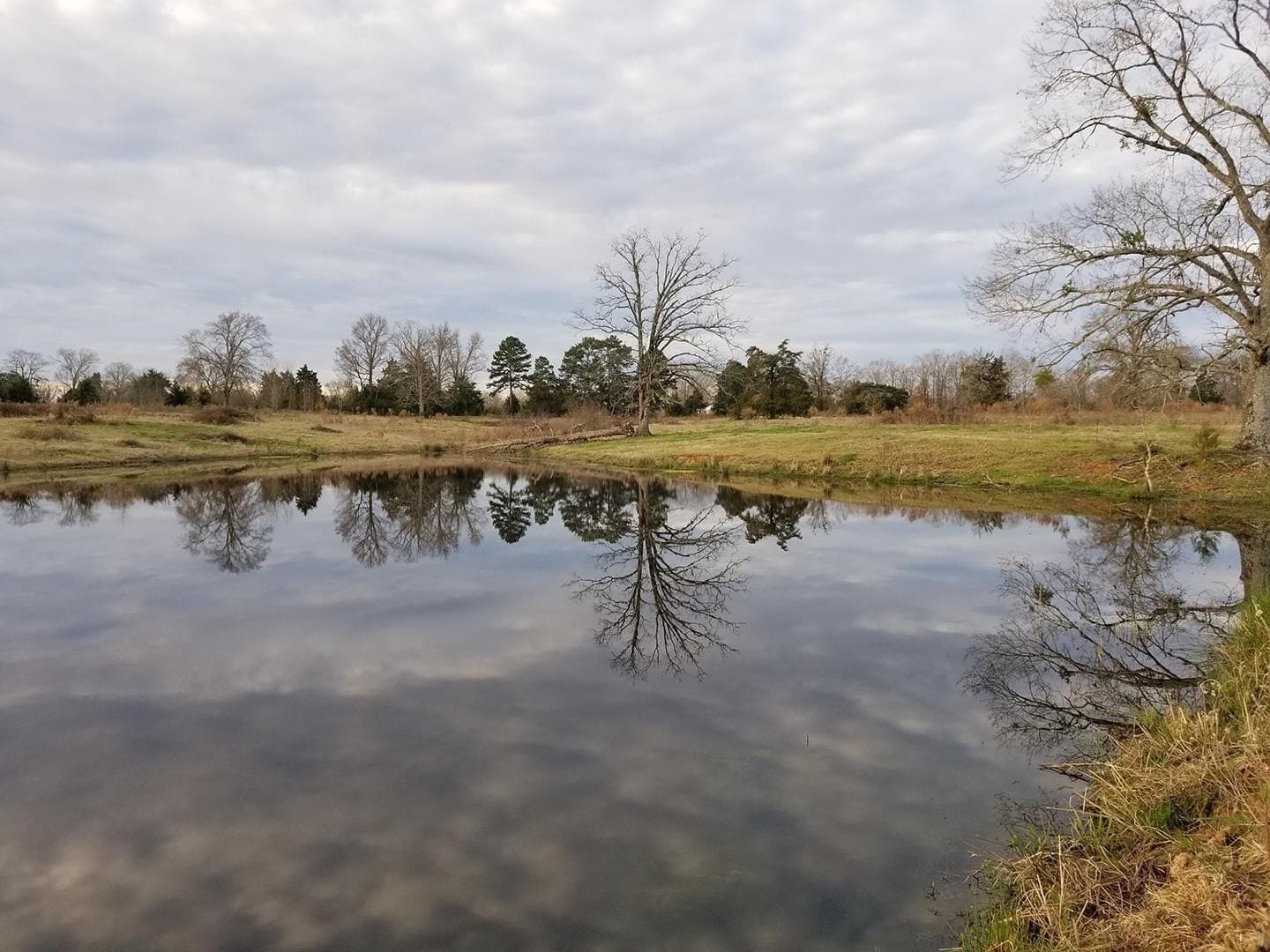 17.81 acres in Panola County - photo 12
