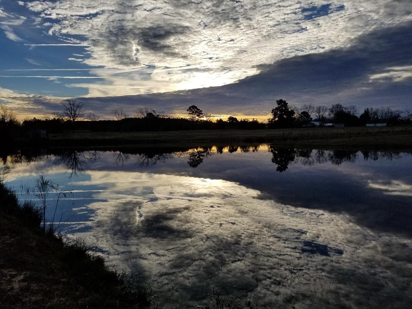 17.81 acres in Panola County - photo 11