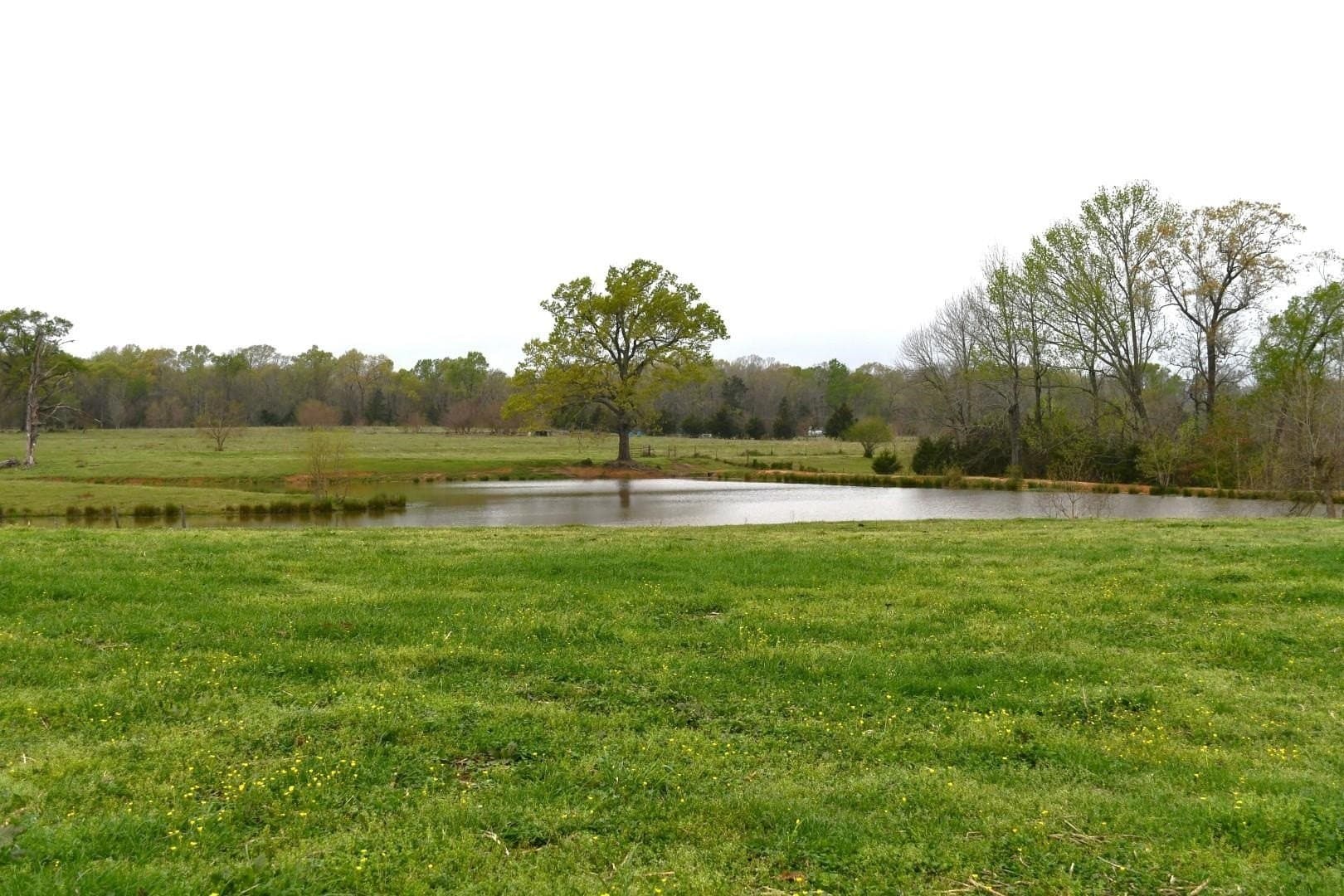 17.81 acres in Panola County - photo 7