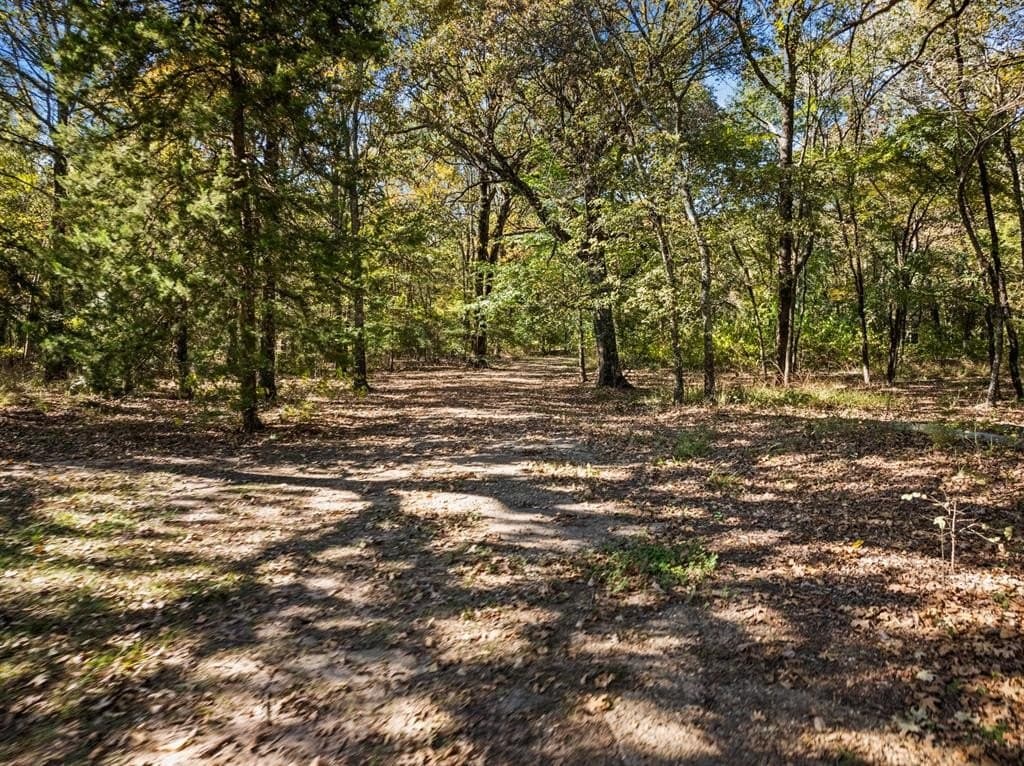 19.45 acres in Morris County - photo 27