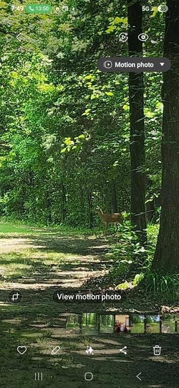 19.45 acres in Morris County - photo 39