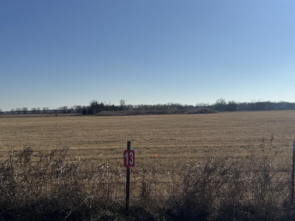 3 acres in Lamar County - photo 6