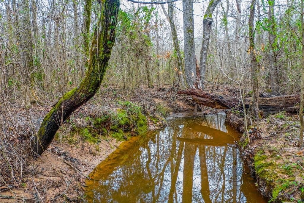 17 acres in Upshur County - photo 13