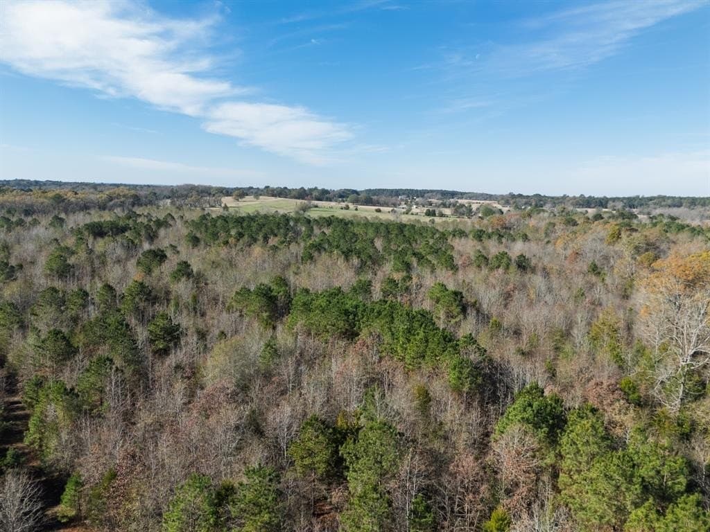 17 acres in Upshur County - photo 5