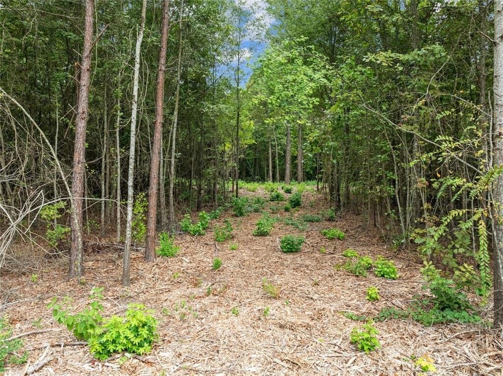 17 acres in Upshur County - photo 8