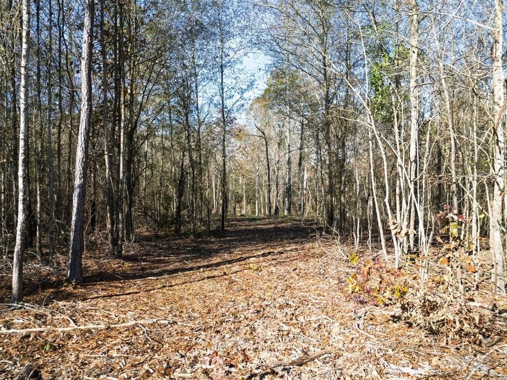 17 acres in Upshur County - photo 17