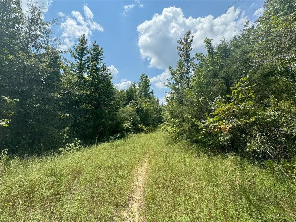 17 acres in Upshur County - photo 12