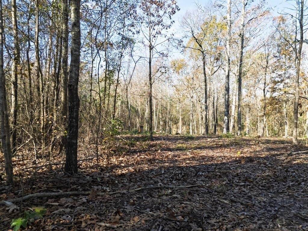 17 acres in Upshur County - photo 16