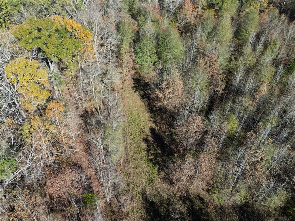 17 acres in Upshur County - photo 19