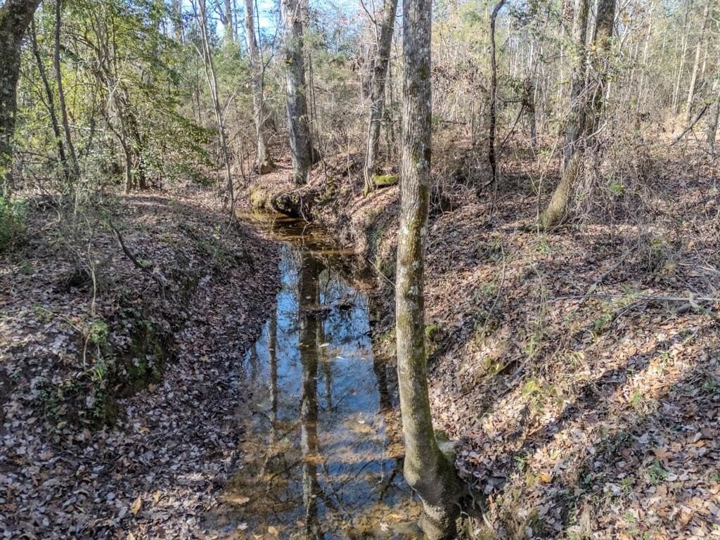 17 acres in Upshur County - photo 30