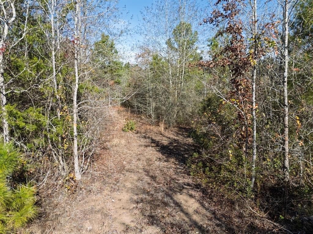 17 acres in Upshur County - photo 10