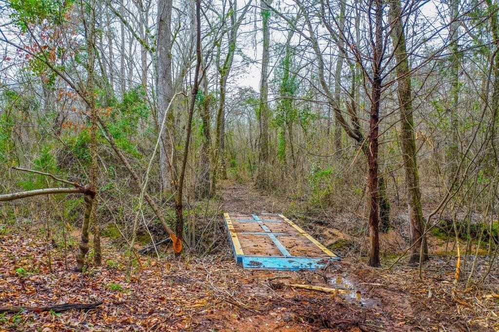 17 acres in Upshur County - photo 18