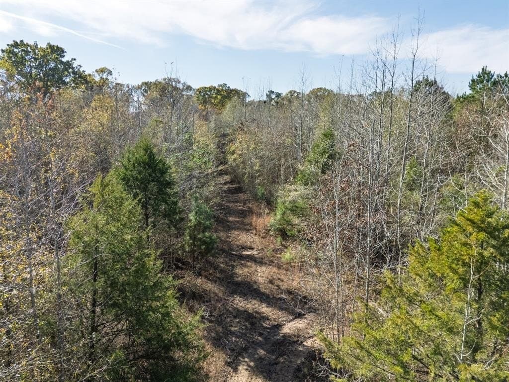 17 acres in Upshur County - photo 11