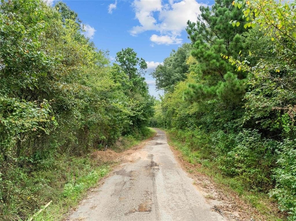 17 acres in Upshur County - photo 6