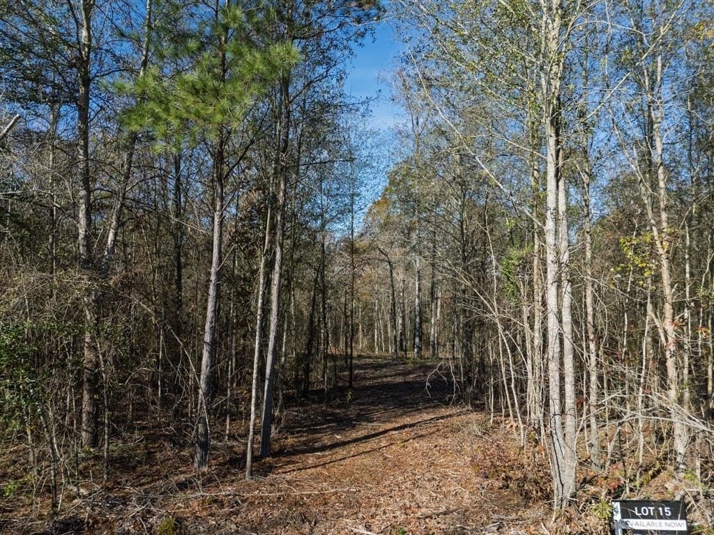 17 acres in Upshur County - photo 4