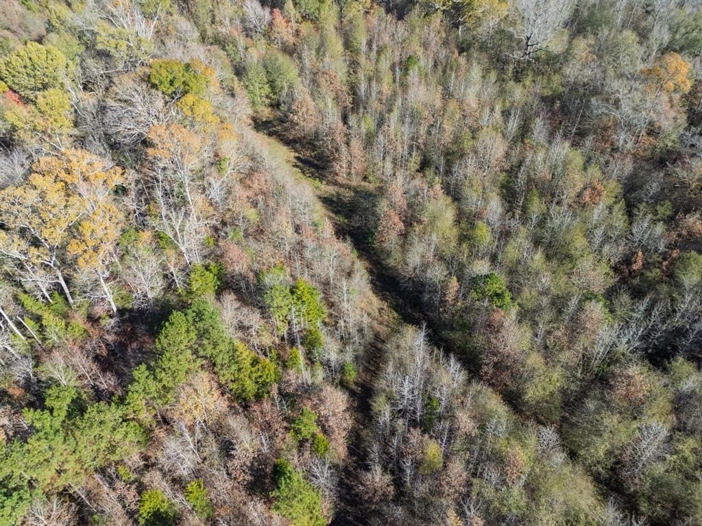 17 acres in Upshur County - photo 7