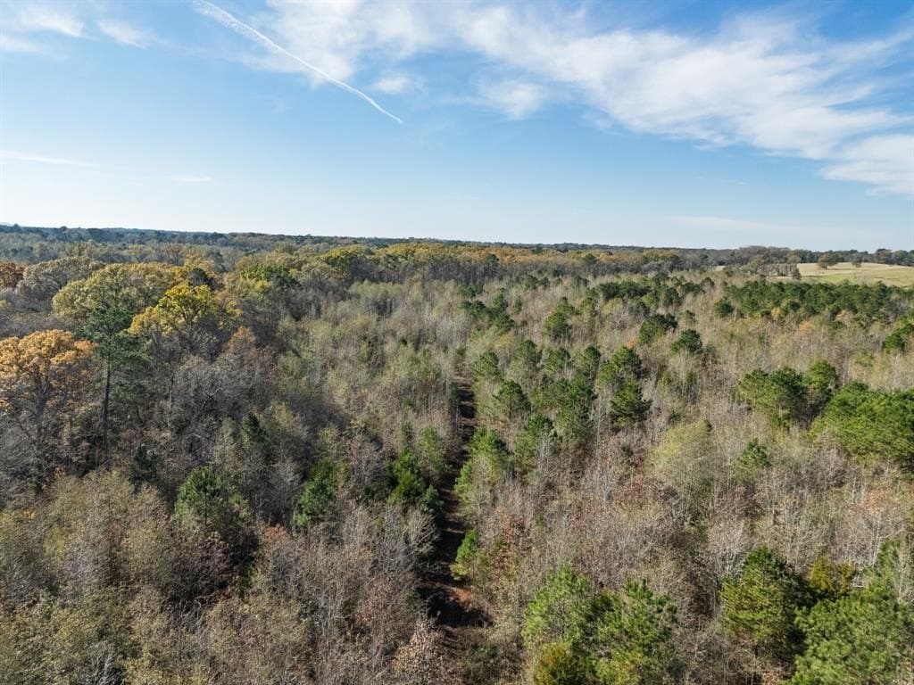 17 acres in Upshur County - photo 26