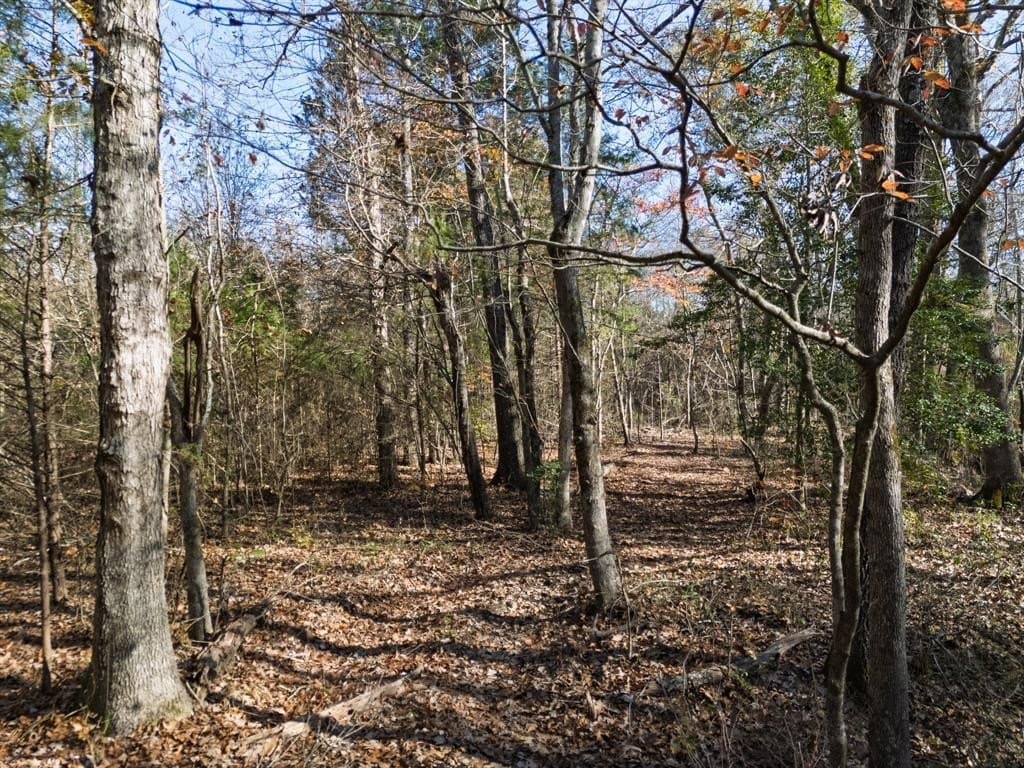 17 acres in Upshur County - photo 33