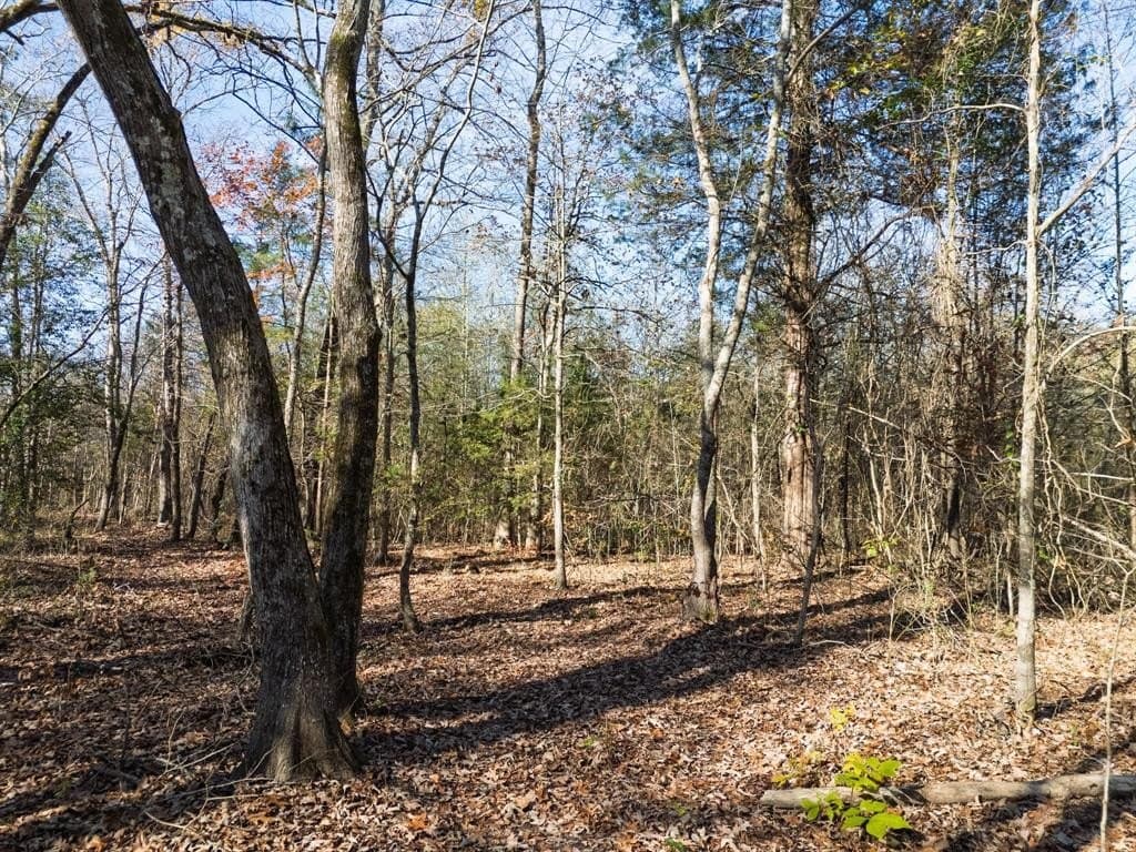 17 acres in Upshur County - photo 32