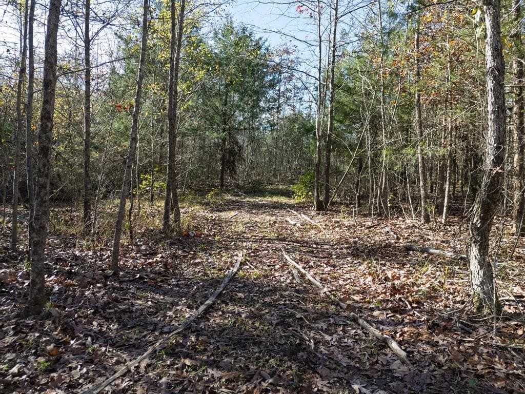 17 acres in Upshur County - photo 28