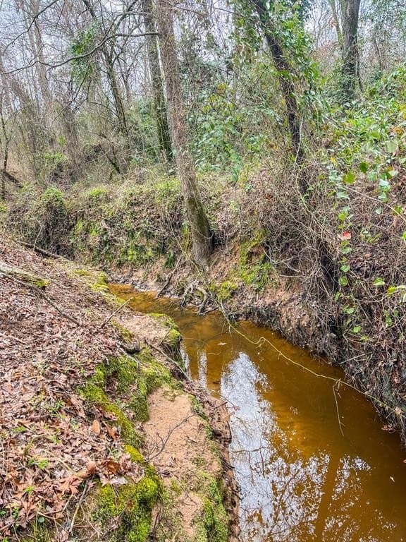 17 acres in Upshur County - photo 21