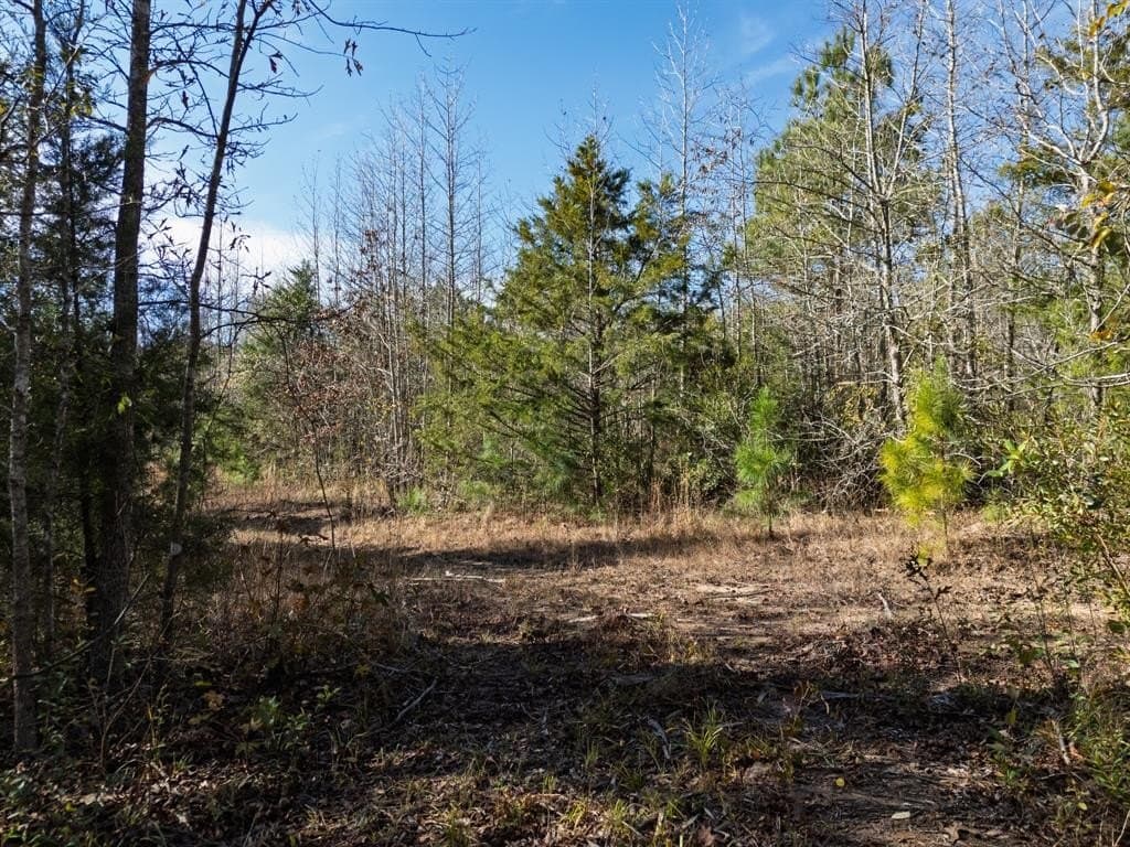 17 acres in Upshur County - photo 27