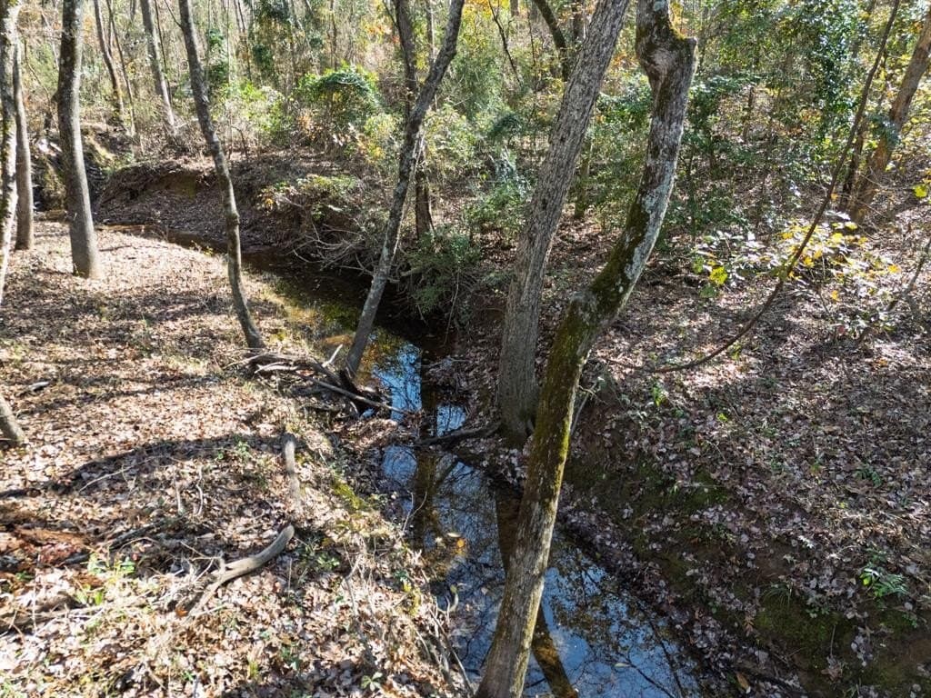 17 acres in Upshur County - photo 14